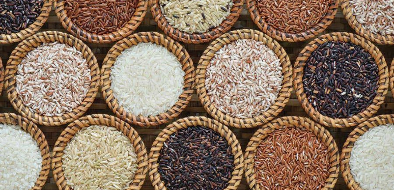 The Power-Packed Heritage of Sri Lanka’s Heirloom Rice: A Healthier Carb with a Timeless Story